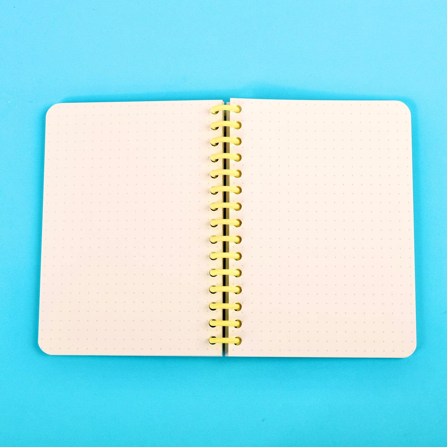 Taco Notebook
